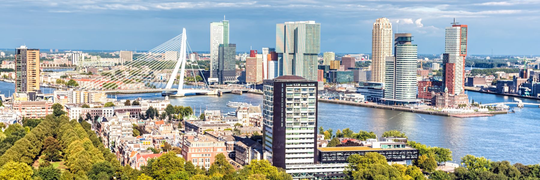 Rotterdam skyline met Erasmusbrug